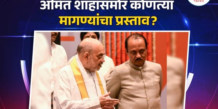 अमित शाहांसमोर कोणत्या मागण्यांचा प्रस्ताव?